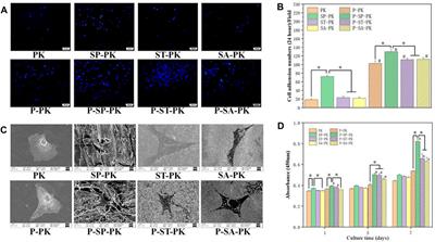 PRP coating on different modified surfaces promoting the osteointegration of polyetheretherketone implant